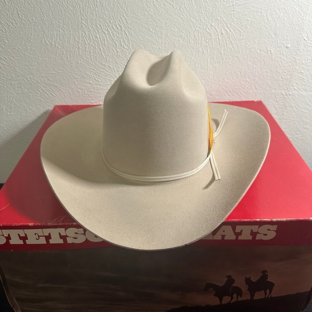 Stetson Beaver Hat Size 6 7/8